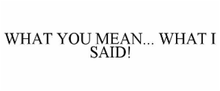 what you mean... what i said!