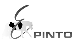 e pinto