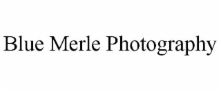 blue merle photography