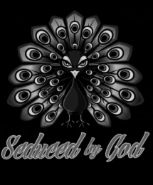 seduced by god