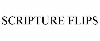 scripture flips