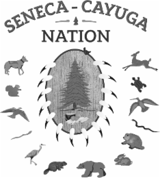 seneca cayuga nation