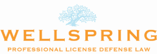 wellspring professional license defense law