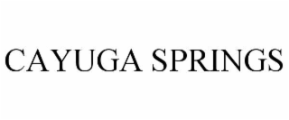 cayuga springs