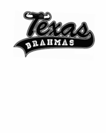 texas brahmas