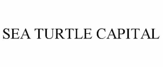 sea turtle capital