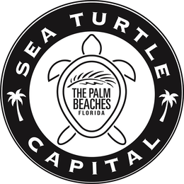 sea turtle capital the palm beaches florida