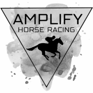 amplify horse racing