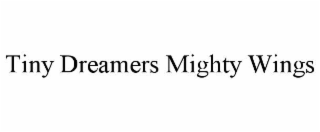 tiny dreamers mighty wings