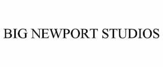 big newport studios