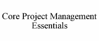 core project management essentials