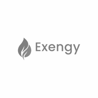 exengy