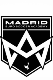 madrid euro soccer academy
