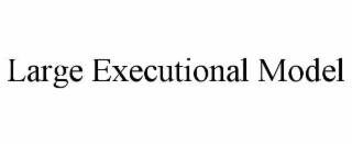 large executional model