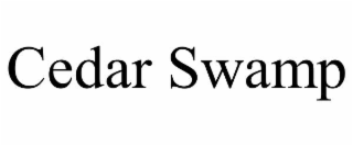 cedar swamp