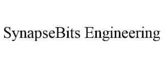 synapsebits engineering