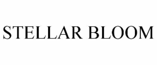 stellar bloom