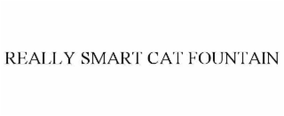 really smart cat fountain
