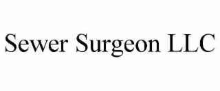sewer surgeon llc