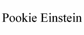 pookie einstein