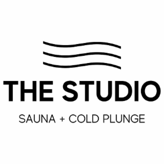 the studio sauna + cold plunge