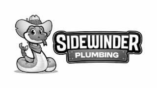sidewinder plumbing