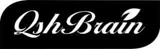 qshbrain