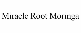 miracle root moringa