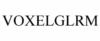voxelglrm