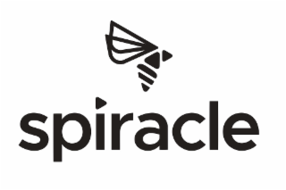 spiracle