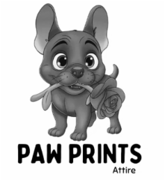 paw prints attire