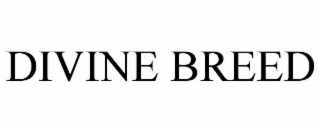 divine breed
