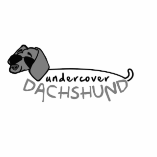 undercover dachshund