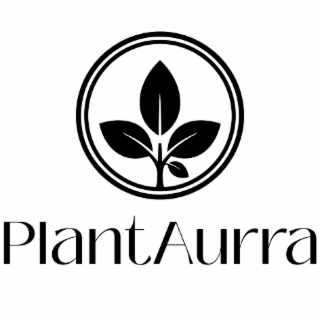 plantaurra