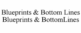 blueprints & bottom lines blueprints & bottomlines