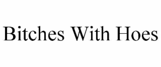bitches with hoes