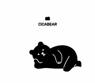 cicabear