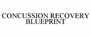 concussion recovery blueprint