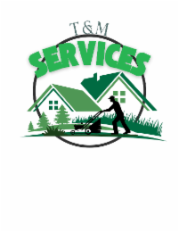 services t&m