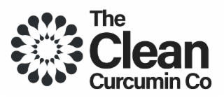 the clean curcumin co