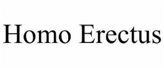 homo erectus