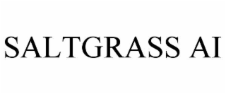 saltgrass ai