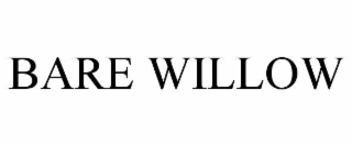 bare willow