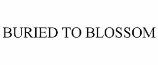 buried to blossom
