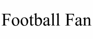 football fan