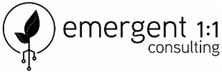 emergent 1:1 consulting