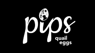 pips quail eggs