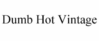 dumb hot vintage