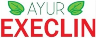 ayur execlin