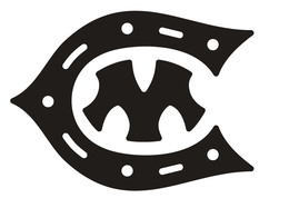 cm